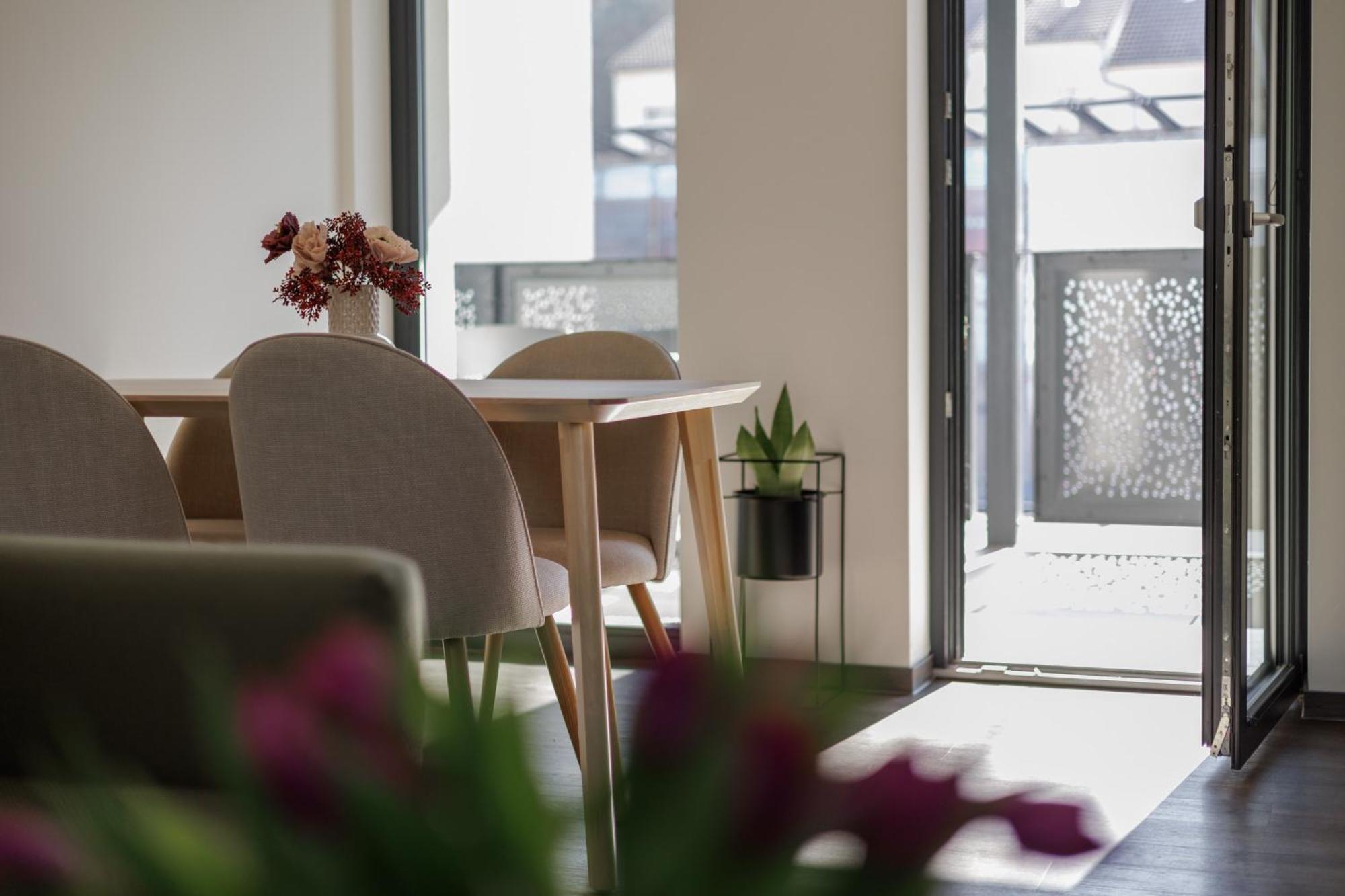 River Apartments Mladá Boleslav エクステリア 写真